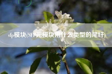 sfp模块(SFP光模块用什么类型的尾纤)