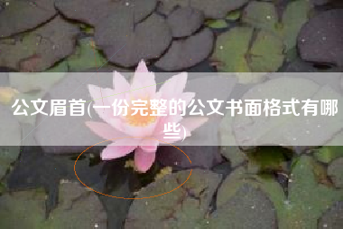 公文眉首(一份完整的公文书面格式有哪些)