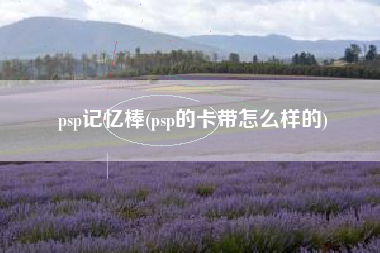 psp记忆棒(psp的卡带怎么样的)