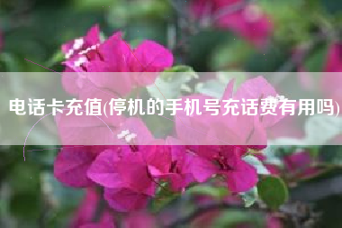 电话卡充值(停机的手机号充话费有用吗)