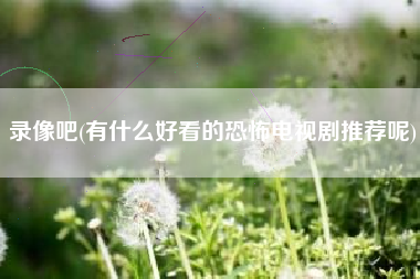 录像吧(有什么好看的恐怖电视剧推荐呢)