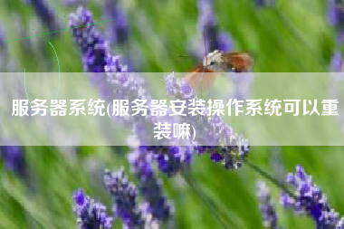 服务器系统(服务器安装操作系统可以重装嘛)