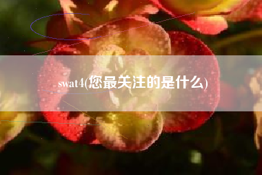 swat4(您最关注的是什么)