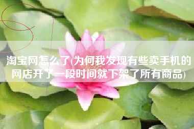 淘宝网怎么了(为何我发现有些卖手机的网店开了一段时间就下架了所有商品)
