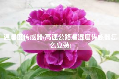 温湿度传感器(高速公路温湿度传感器怎么安装)