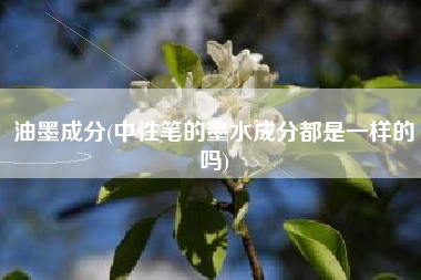 油墨成分(中性笔的墨水成分都是一样的吗)