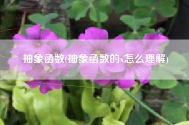 抽象函数(抽象函数的x怎么理解)