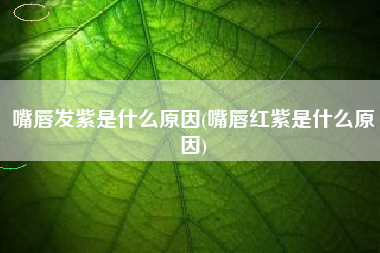 嘴唇发紫是什么原因(嘴唇红紫是什么原因)