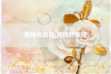 酒精传感器(酒精尺原理)
