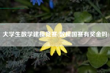 大学生数学建模竞赛(数模国赛有奖金吗)