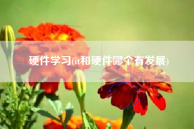 硬件学习(it和硬件哪个有发展)