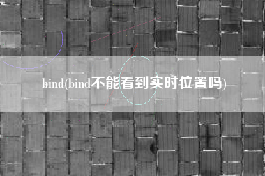 bind(bind不能看到实时位置吗)