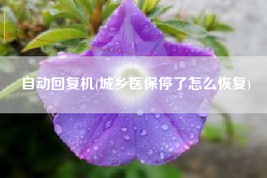 自动回复机(城乡医保停了怎么恢复)
