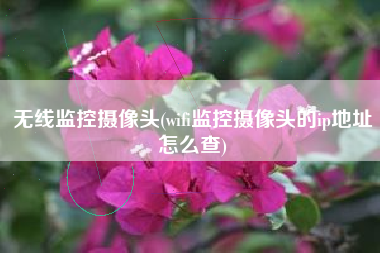 无线监控摄像头(wifi监控摄像头的ip地址怎么查)