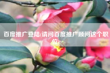 百度推广登陆(请问百度推广顾问这个职位)