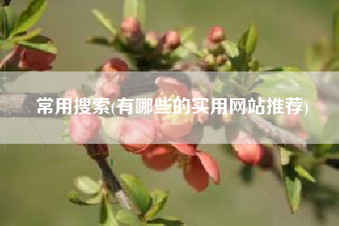 常用搜索(有哪些的实用网站推荐)