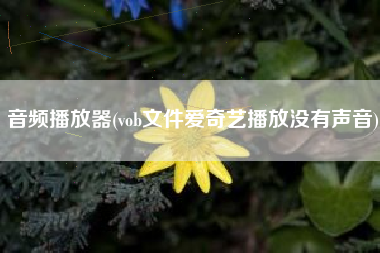 音频播放器(vob文件爱奇艺播放没有声音)
