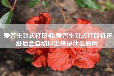 爱普生针式打印机(爱普生针式打印机进纸后会自动退出来是什么原因)