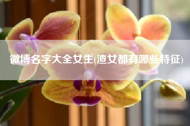 微博名字大全女生(渣女都有哪些特征)