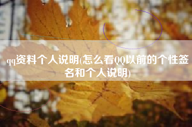 qq资料个人说明(怎么看QQ以前的个性签名和个人说明)
