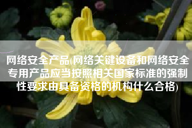 网络安全产品(网络关键设备和网络安全专用产品应当按照相关国家标准的强制性要求由具备资格的机构什么合格)