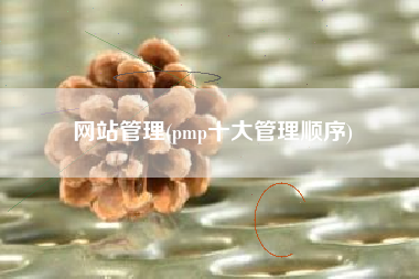 网站管理(pmp十大管理顺序)