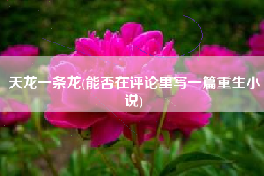 天龙一条龙(能否在评论里写一篇重生小说)