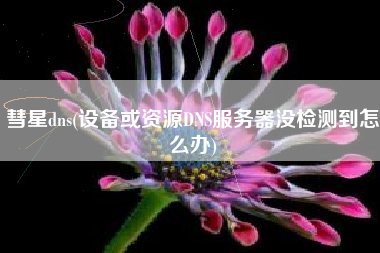 彗星dns(设备或资源DNS服务器没检测到怎么办)
