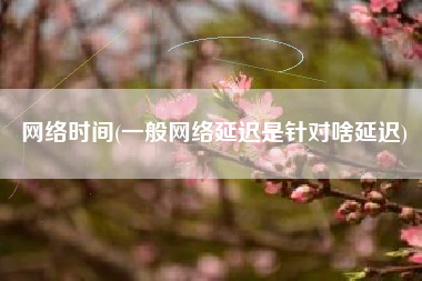 网络时间(一般网络延迟是针对啥延迟)