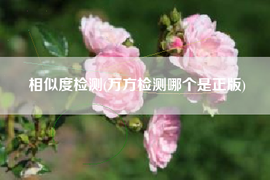 相似度检测(万方检测哪个是正版)