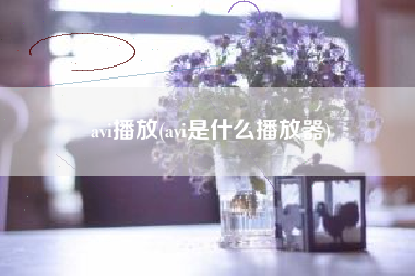 avi播放(avi是什么播放器)