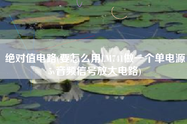 绝对值电路(要怎么用LM741做一个单电源5v音频信号放大电路)
