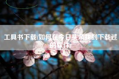 工具书下载(如何在今日头条找到下载过的软件)
