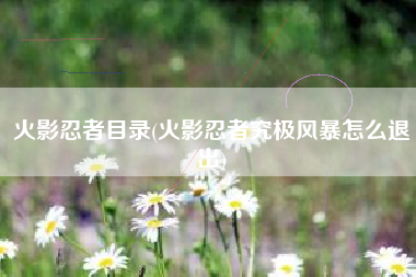火影忍者目录(火影忍者究极风暴怎么退出)