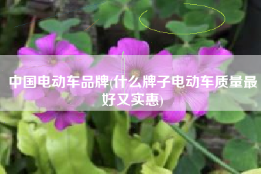 中国电动车品牌(什么牌子电动车质量最好又实惠)