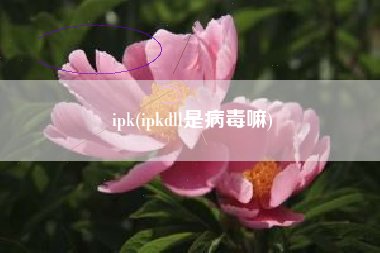 ipk(ipkdll是病毒嘛)
