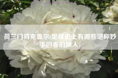 荷兰门将克鲁尔(足球史上有哪些堪称妙手回春的换人)
