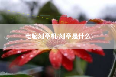 电脑刻章机(刻章是什么)