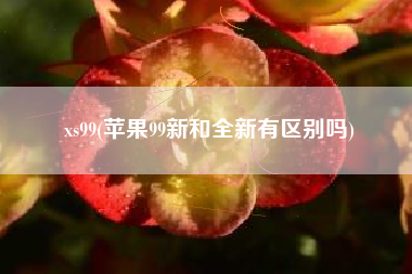 xs99(苹果99新和全新有区别吗)