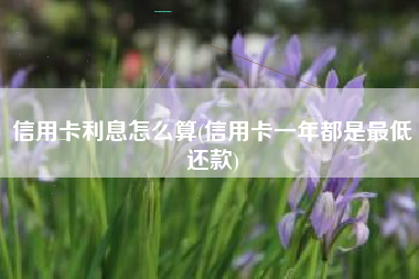 信用卡利息怎么算(信用卡一年都是最低还款)