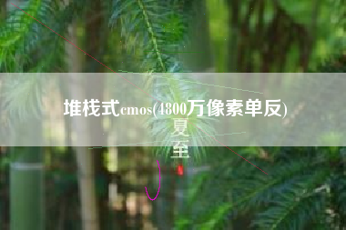 堆栈式cmos(4800万像素单反)