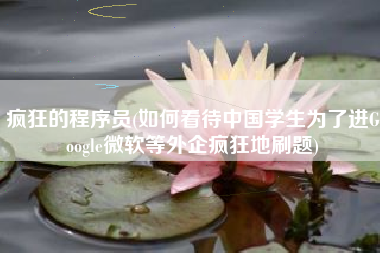 疯狂的程序员(如何看待中国学生为了进Google微软等外企疯狂地刷题)