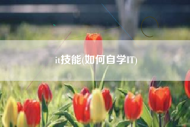 it技能(如何自学IT)