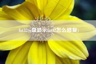 fat32(u盘显示fat32怎么修复)