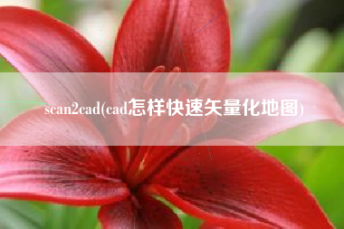 scan2cad(cad怎样快速矢量化地图)
