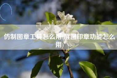 仿制图章工具怎么用(醒图印章功能怎么用)