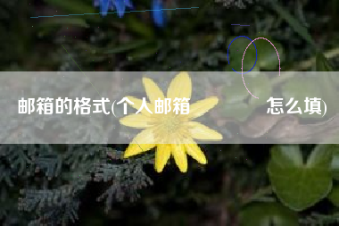 邮箱的格式(个人邮箱📬怎么填)