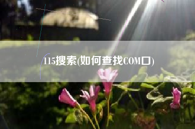 115搜索(如何查找COM口)