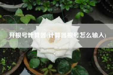 开根号计算器(计算器根号怎么输入)