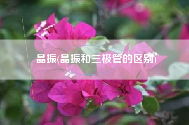 详细阅读:晶振(晶振和三极管的区别) 晶振(晶振和三极管的区别)